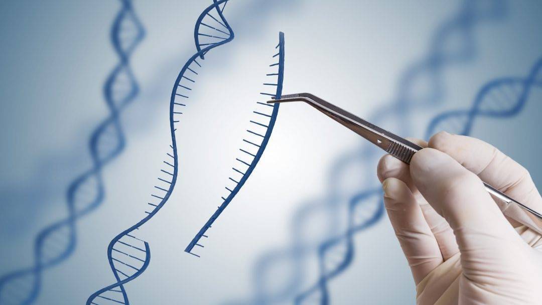 crispr iStock-849193388-1080x675 (2)